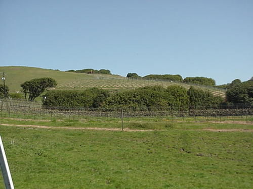 Point Reyes Vineyard Inn Калифорния Сити Екстериор снимка