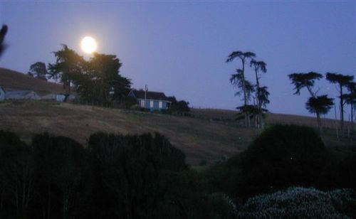 Point Reyes Vineyard Inn Калифорния Сити Екстериор снимка