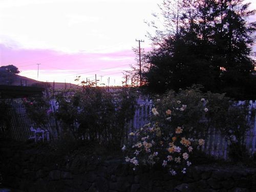 Point Reyes Vineyard Inn Калифорния Сити Екстериор снимка