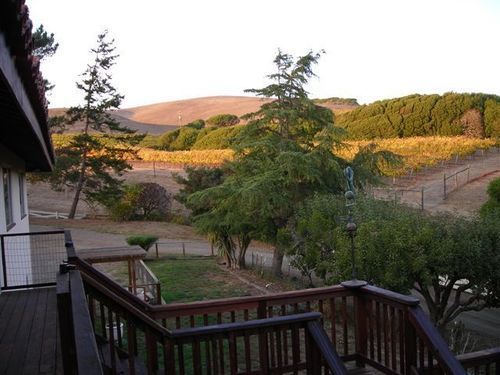 Point Reyes Vineyard Inn Калифорния Сити Екстериор снимка