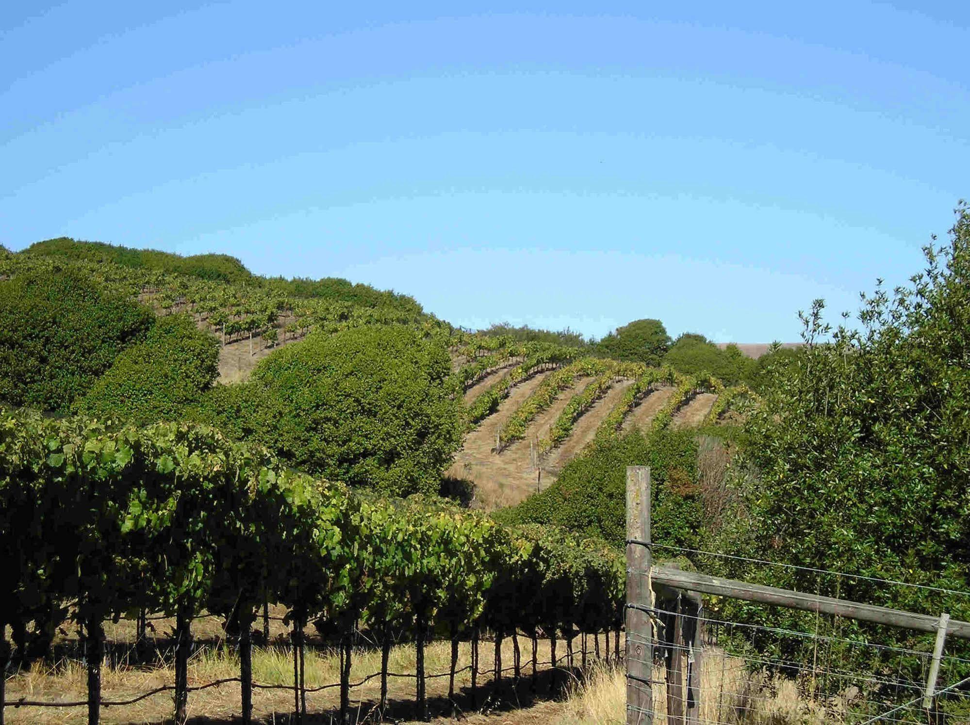 Point Reyes Vineyard Inn Калифорния Сити Екстериор снимка